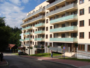 Apartament WIKI Centrum - Zielony Zdrój - Krynica Zdrój